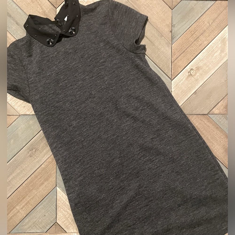 Loft Peter Pan collar shift dress. Small petite.